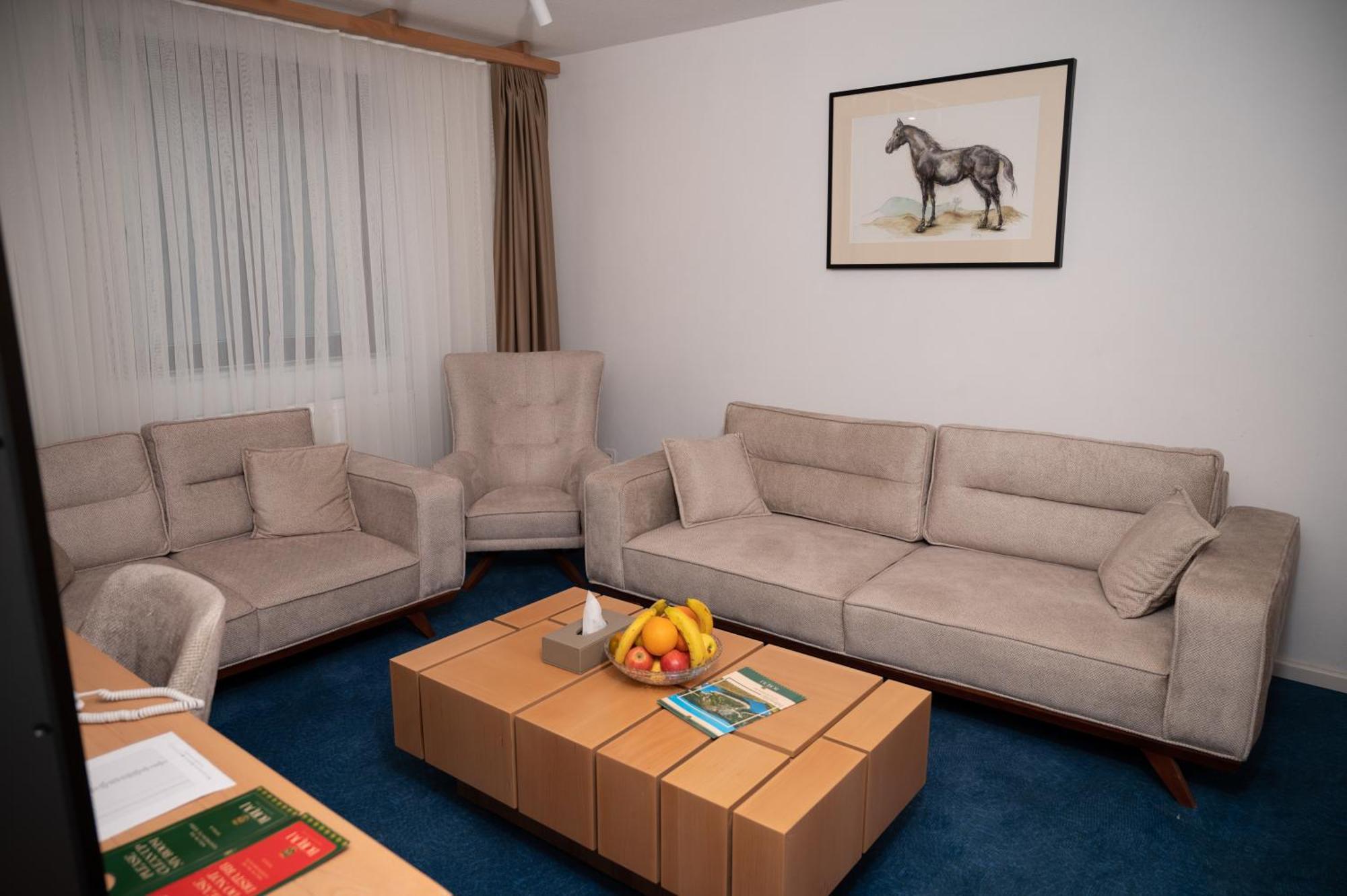 Hotel Borovi Forest Resort & Spa Sjenica Eksteriør bilde